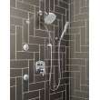 Delta Other: Shower Arm, RP40593