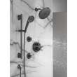 Delta Other: Shower Arm, RP40593BL