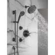 Delta Other: Shower Arm, RP40593BL