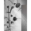 Delta Other: Shower Arm, RP40593BL