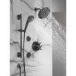 Delta Other: Shower Arm, RP40593BL