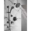 Delta Other: Shower Arm, RP40593BL
