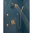Delta Other: Shower Arm, RP40593CZ