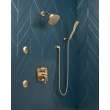 Delta Other: Shower Arm, RP40593CZ