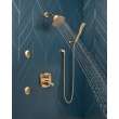 Delta Other: Shower Arm, RP40593CZ