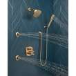 Delta Other: Shower Arm, RP40593CZ