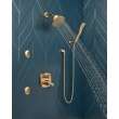 Delta Other: Shower Arm, RP40593CZ
