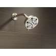 Delta Other: Shower Arm, RP40593PN