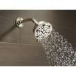 Delta Other: Shower Arm, RP40593PN