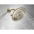 Delta Other: Shower Arm, RP40593PN