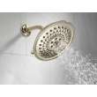 Delta Other: Shower Arm, RP40593PN