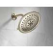 Delta Other: Shower Arm, RP40593PN