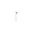 Delta Other: Shower Arm, RP40593PN
