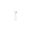 Delta Other: Shower Arm, RP40593PN