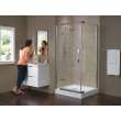 Delta Other: Shower Arm, RP40593SS