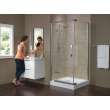 Delta Other: Shower Arm, RP40593SS