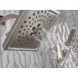 Delta Other: Shower Arm, RP40593SS