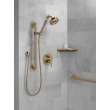 Delta Other: Shower Arm, RP6023CZ