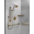 Delta Other: Shower Arm, RP6023CZ