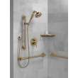 Delta Other: Shower Arm, RP6023CZ