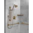Delta Other: Shower Arm, RP6023CZ