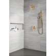 Delta Other: Shower Arm, RP6023CZ