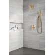 Delta Other: Shower Arm, RP6023CZ