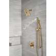 Delta Other: Shower Arm, RP6023CZ