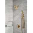 Delta Other: Shower Arm, RP6023CZ