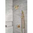 Delta Other: Shower Arm, RP6023CZ