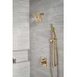 Delta Other: Shower Arm, RP6023CZ