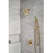 Delta Other: Shower Arm, RP6023CZ