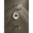Delta Other: Shower Arm, RP6023PN