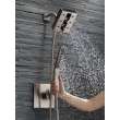 Delta Other: Shower Arm, RP6023SS