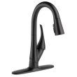 Delta Essa(R): Escutcheon w/ Baseplate & Nuts, RP70714BL