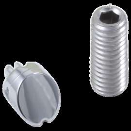 Delta Cassidy(R): Set Screw & Button - Diverter, RP72561
