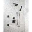 Delta Other: HydraChoice(R) Body Spray - H2OKinetic(R) Invigorating Spray Head, SH5002-BL