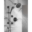Delta Other: HydraChoice(R) Body Spray - H2OKinetic(R) Massaging Spray Head, SH5005-BL