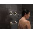 Delta Other: H2Okinetic Soothing Spray Head, SH5005-PN-PR