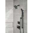 Delta Pivotal(R): 3-Setting 2-Port Diverter Trim, T11899-BL
