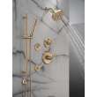 Delta Bonacci(TM): 6-Setting Diverter Trim, T11945-CZ-PR