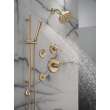 Delta Bonacci(TM): 6-Setting Diverter Trim, T11945-CZ-PR