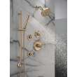 Delta Bonacci(TM): 6-Setting Diverter Trim, T11945-CZ-PR