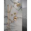 Delta Bonacci(TM): 6-Setting Diverter Trim, T11945-CZ-PR