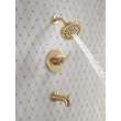 Delta Altado(TM): Monitor 14 Series Tub & Shower Trim, T14442-CZ