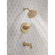 Delta Altado(TM): Monitor 14 Series Tub & Shower Trim, T14442-CZ
