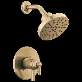 Delta Saylor(R): Monitor(R) 17 Series Shower Trim, T17235-CZ