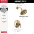Delta Broderick(R): 17 Series Shower Trim, T17284-CZ-PR