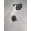 Delta Cassidy(R): 17 Series Shower Trim, T17297-BL