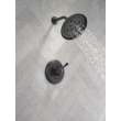 Delta Cassidy(R): 17 Series Shower Trim, T17297-BL